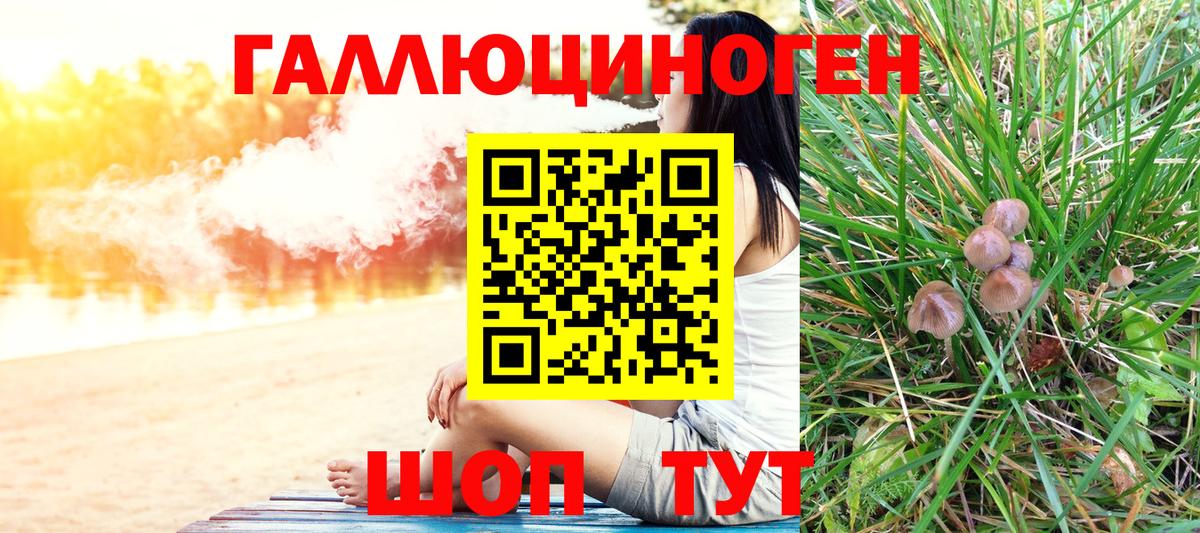 Псилоцибиновые грибы Cubensis  Вход с VPN  Мыски 