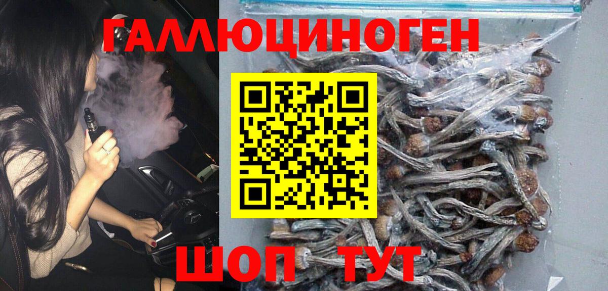 Галлюциногенные грибы мицелий Мыски